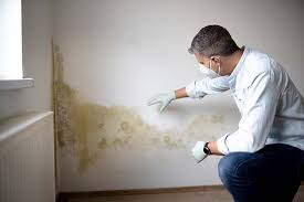 Biohazard Mold Removal in Apison, TN